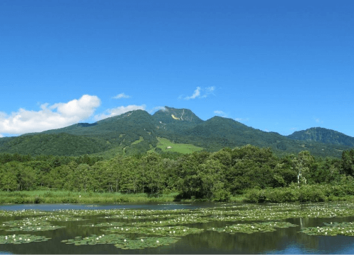 新潟県妙高市：いもり池